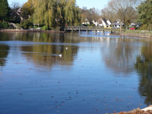 p1010207.jpg